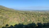 Excursión Senderismo Laroque-des-Albères - RP66 LAROQUE VALLÉE HEUREUSE SOREDE.  - Photo 2