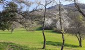 Trail Walking Brison-Saint-Innocent - les granges de Brison - Photo 17