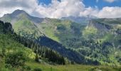 Trail Walking Abondance - Col de Bassachaux le lac vert 7 juillet 2022 - Photo 5