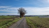 Tocht Stappen Monferran-Savès - ses les terres de Monferran Saves et plus - Photo 5