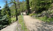 Trail Walking Vernet-les-Bains - Abbaye de St Martin du Canigou - Photo 11