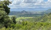 Tocht  Les Arcs-sur-Argens - Taradeau - Photo 1