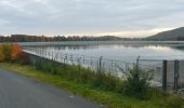 Tocht Te voet Edertal - Nationalparkrundweg Heimbach-Route - Photo 2