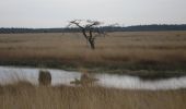 Tour Zu Fuß Ede - Eeskoterpad Hoofdroute - Photo 2