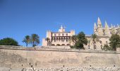 Tour Wandern Unknown - Palma - Photo 2