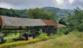 Trail Walking Bouillon - rando rochehaut 18/06/2020 - Photo 2