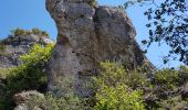 Tour Nordic Walking Nant - Canoles du Larzac - Photo 11