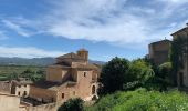 Trail Walking Miravet - Miravet alentours et Château  - Photo 1