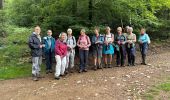 Trail Walking Rendeux - Marcouray - Photo 11