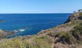 Trail Walking Cerbère - village des aloès - cap cerbère/ aller-retour - Photo 11