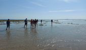 Trail Walking Le Crotoy - balade baie de somme - Photo 17