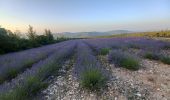 Tour Wandern Cruis - CRUIS . L ESPINASSE . DEFEND DES BOEUF . JAS ROCHE . O S L - Photo 2