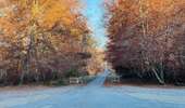 Randonnée Marche Saint-Jean-aux-Bois - en forêt de Compiègne_44_sur les Routes du Moulin et de Berne - Photo 7