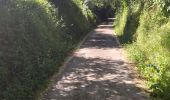 Trail Walking Saint-Lô - Le Hutrel 27 ai 2020 - Photo 6