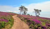 Tour Wandern Crozon - Boucle Crozon Morgat Cap de la chèvre 22 km - Photo 11