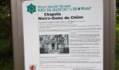 Percorso Marcia Sélestat - Sélestat le Grand Ried - balade dans la forêt de l'II - passerelles - Photo 5
