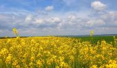 Tour Wandern Doische - De Gochenée à Vodelée par la vallée de l'Hermeton - Photo 8