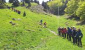 Percorso Marcia Châtillon-en-Diois - jocou sans jocou - Photo 3