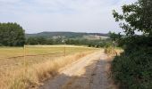 Tocht Elektrische fiets Ronse - renaix - Louise-Marie - Renaix - Photo 2