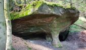 Tour Wandern Vexaincourt - Vexaincourt - lac et chapelle de la Maix - Photo 17