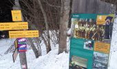 Tour Schneeschuhwandern Le Sappey-en-Chartreuse - Eimendras du dessus en circuit - Photo 10