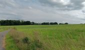 Trail Walking Theux - entre la ferme st Remacle et Hodbomont - Photo 16