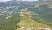 Percorso Marcia Saint-Jacques-des-Blats - Puy Griou depuis le Col de Font de Cère - Photo 18