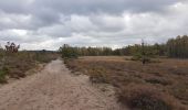 Randonnée Marche Zonhoven - Zonhoven (De Teut) - Photo 4