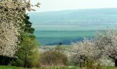 Tocht Te voet Kelbra (Kyffhäuser) - Königspfalz Tilleda -Udersleben - Photo 8