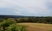 Trail Walking Chaudfontaine - Vallée de la Vesdre / Chèvremont - Photo 11