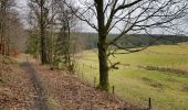 Trail Walking Amel - Heppenbach (Amel) - Photo 2