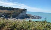 Tour Wandern Sassetot-le-Mauconduit - Sassetot - Photo 7