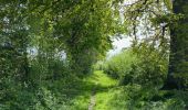 Tocht Stappen Tienen - S-GR Hageland : Tienen - Terhagen - Photo 3