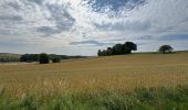 Tour  Attert - Balisage GR 15 - Photo 6