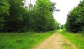 Trail On foot Tracy-le-Mont - le GR655 dans les Forêts de Laigue et de Compiègne - Photo 12