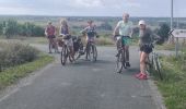 Percorso Bici ibrida Chalonnes-sur-Loire - Chalonnes Behuard - Photo 2