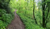 Trail Walking Hamoir - comblain la tour . xhygnesse . comblain fairon . comblain la tour - Photo 16