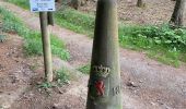 Percorso Marcia Wincrange - Escapardenne Eisleck Trail: Moulin d'Asselborn - Houffalize - Photo 6