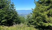 Tour Wandern Habère-Poche - Rando VV - Photo 2