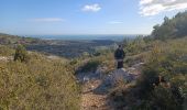 Percorso Camminata nordica Gruissan - Le massif de la Clape Gruissan - Photo 19