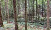 Trail Walking Neufchâteau - Bois d’Ospau - Photo 1