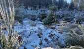 Trail Walking Saint Vith - Rodt - BierMuseum ❄️ - Photo 12