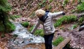 Randonnée Marche Gérardmer - gerardmer saut de la bourrique cascade merel - Photo 11