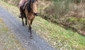 Trail Horseback riding Baccarat - Chez Alex mercredi 21 février 24 Mirador  - Photo 13