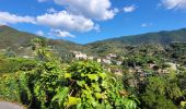 Trail Walking Vernazza - sejour-cinq-terres-4eme-jour-corniglia-manarola-riomaggiore - Photo 6