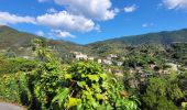 Excursión Senderismo Vernazza - sejour-cinq-terres-4eme-jour-corniglia-manarola-riomaggiore - Photo 6