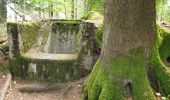 Excursión Senderismo Grandfontaine - Positions fortifiées du Donon sentier des casemates - sud - Photo 10