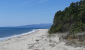 Tour Wandern Ghisonaccia - forêt de pinia, étang,mer - Photo 8