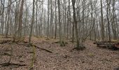 Tour Zu Fuß Ober-Mörlen - Wanderwege Vogeltal - Eichenblatt - Photo 5