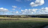 Trail Walking Gouvy - Gouvy 23 km  - Photo 6